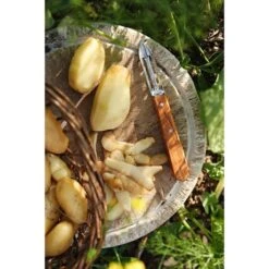 Opinel Coffret Les Essentiels Olivier -Cuisine Fournitures Magasin 411056 2 2 Coffret Les Essentiels Olivier Opinel