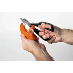 Ciseaux à Crustacés Noir -Cuisine Fournitures Magasin 45120 3 3 Ciseaux a crustaces noir Moha