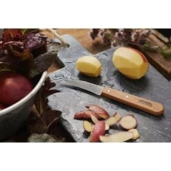 Opinel Coffret 4 Couteaux Essentiels Hêtre 8 Opinel Coffret 4 Couteaux Essentiels Hêtre -Cuisine Fournitures Magasin 471163 3 4 Coffret 4 couteaux Essentiels Hetre Opinel