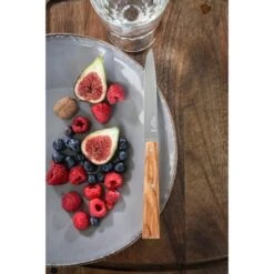 Opinel Coffret 4 Couteaux De Table Esprit Sud -Cuisine Fournitures Magasin 471247 3 2 Coffret 4 couteaux de table Esprit Sud Opinel