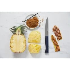 Opinel Couteau à Découper Intempora N°220 16 Cm -Cuisine Fournitures Magasin 471254 3 3 Couteau a decouper Intempora n 220 16 cm Opinel