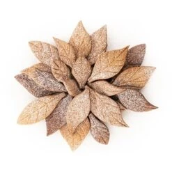 Silikomart Emporte-pièce Voila Cookie - Feuilles 24 X 15 Cm -Cuisine Fournitures Magasin 561004 2 2 Emporte piece Voila cookie Feuilles 24 x 15 cm Silikomart