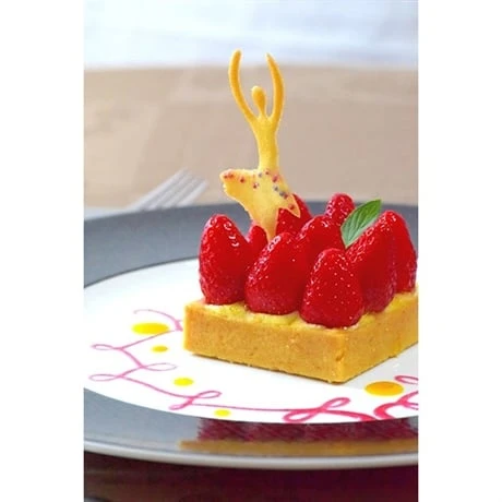 Kit Pochoir à Tuiles 3 Kit Pochoir à Tuiles – Image 3