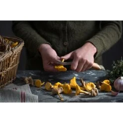 Set Brosse à Champignons Et Couteau à Champignons Pliant N°8 -Cuisine Fournitures Magasin 609165 2 1 Set brosse a champignons et couteau a champignons pliant N 8