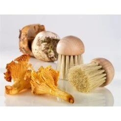 Set Brosse à Champignons Et Couteau à Champignons Pliant N°8 -Cuisine Fournitures Magasin 609165 3 1 Set brosse a champignons et couteau a champignons pliant N 8