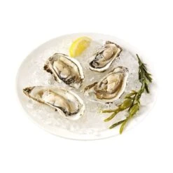 Princess Machine à Glace Pilée 01.282984.01.001 -Cuisine Fournitures Magasin 780162 4 2 Machine a glace pilee 01 282984 01 001 Princess