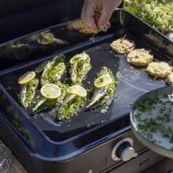 Plancha à Gaz Combo Enosign 65 Bleu Navy 2 Feux -Cuisine Fournitures Magasin 781013 3 4 Plancha a gaz Combo enosign 65 bleu navy 2 feux ENO